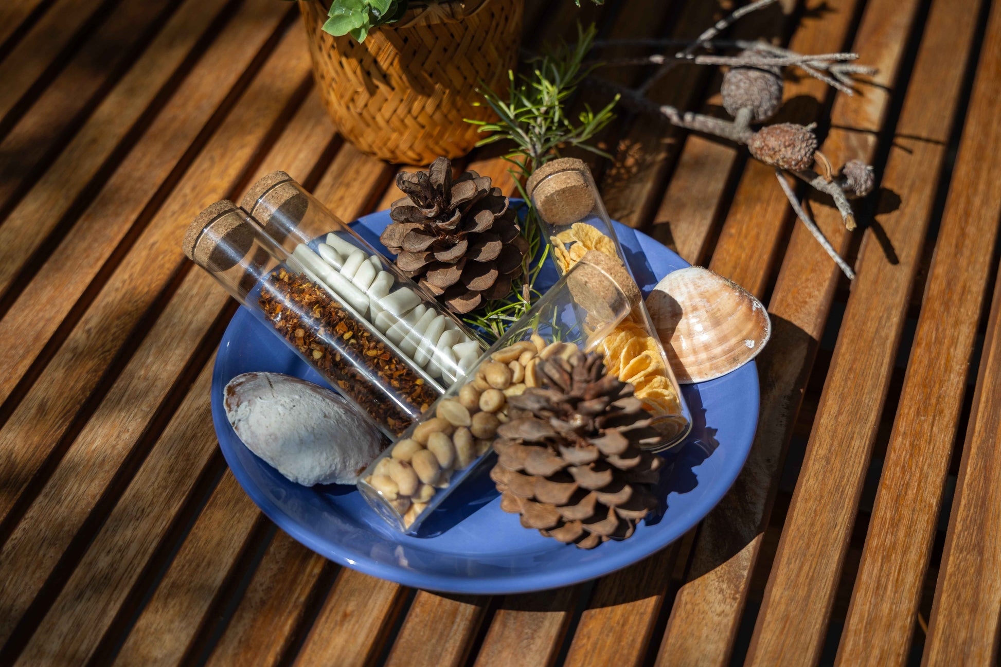 Set staklenih epruveta za začine s čepom (4 kom)