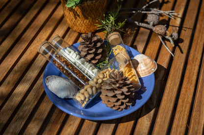 Set staklenih epruveta za začine s čepom (4 kom)